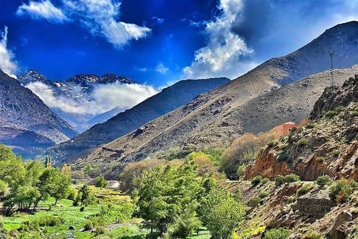 Full-Day Berber Villages Private Cultural Tour from Marrakech image