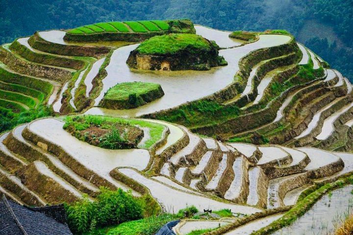 2-Day Private Tour to Longji Rice Terraces and Ping'an Village from Guilin image