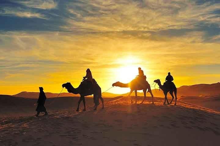 camel trekking in sahara desert & spend overnight in a Desert camp  image