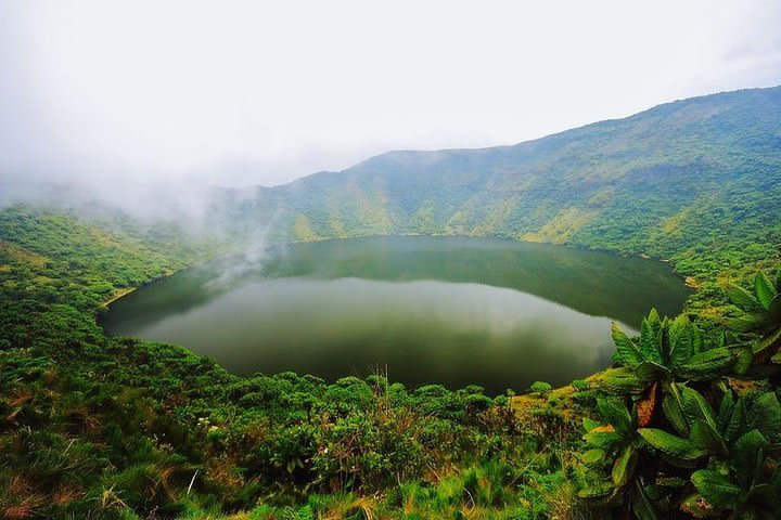 2-Day Private Golden Monkey Trek, Lakes & Cultural Tour in Rwanda image