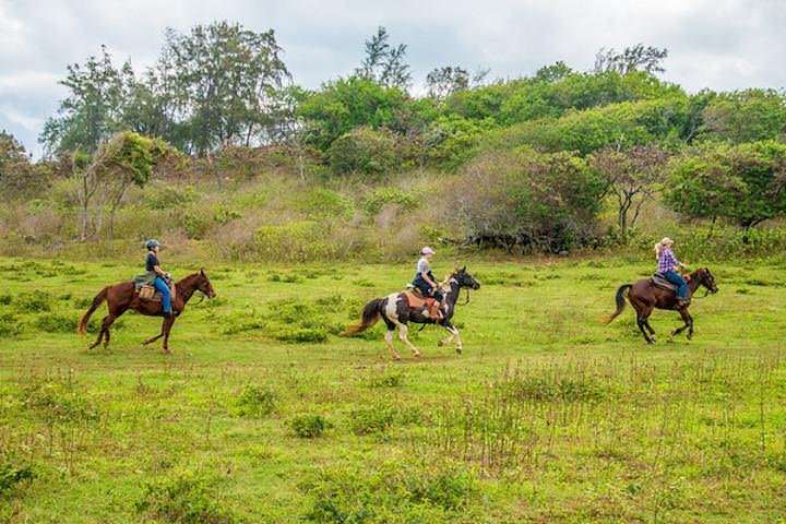 Private Advanced Trail Ride image