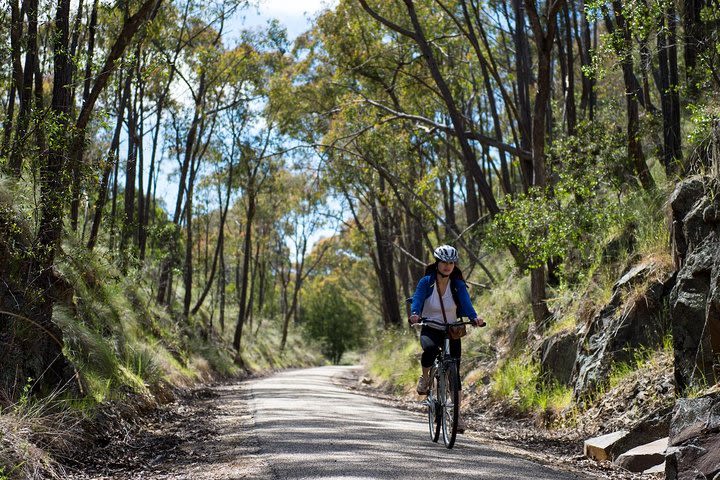 Self-Guided Gourmet Culinary Cycling Day Tour From Beechworth image