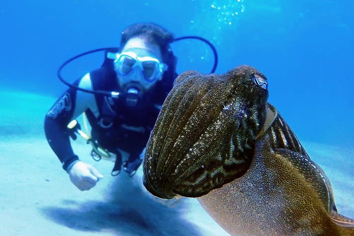 Discover Scuba Diving image