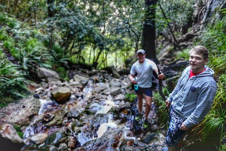 Table Mountain: Skeleton Gorge to Cable Way Full Day Hike image