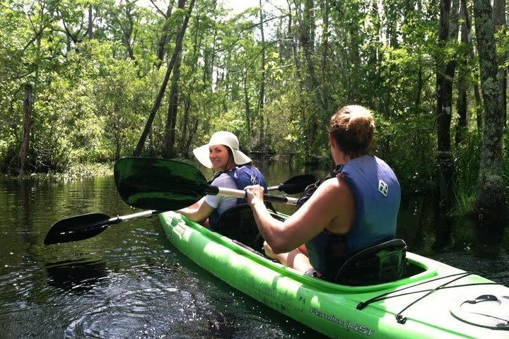 Alligator River Kayak Adventure image