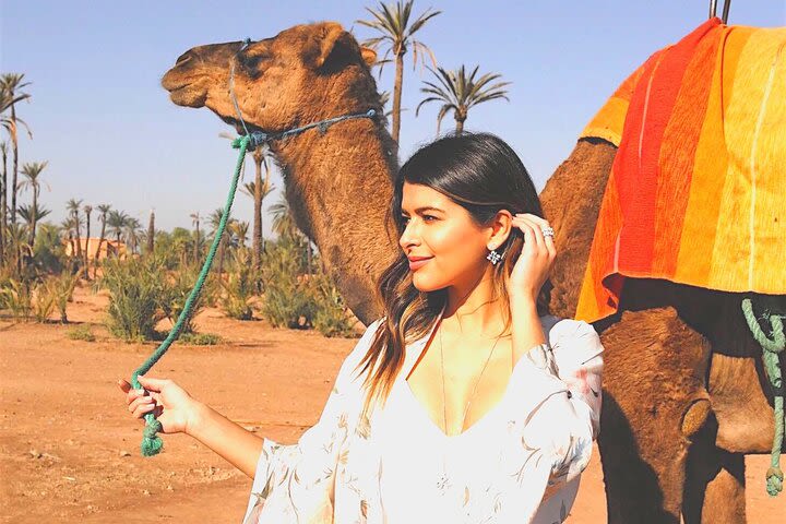 Agafay desert Sunset Camel riding private group image