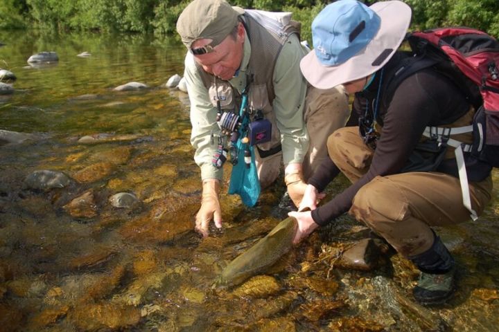 Backcountry 4WD Fly Fishing Adventure image