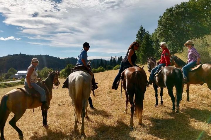 1 Hour Private Horseback Riding Lesson with Tommie image