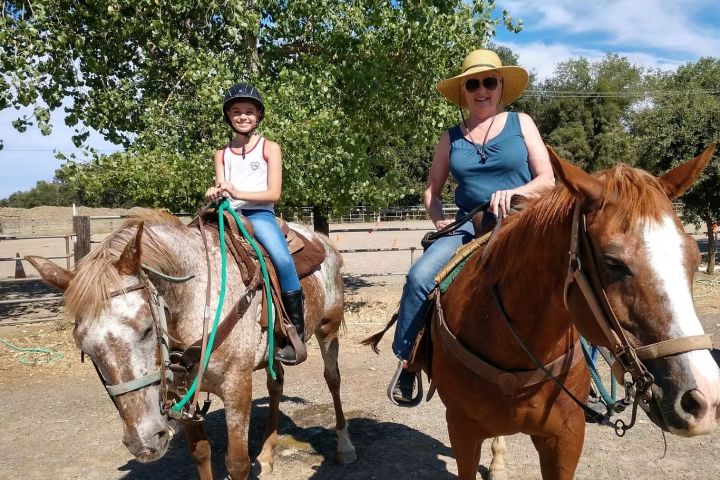 Introduction to the Horse - Experience image