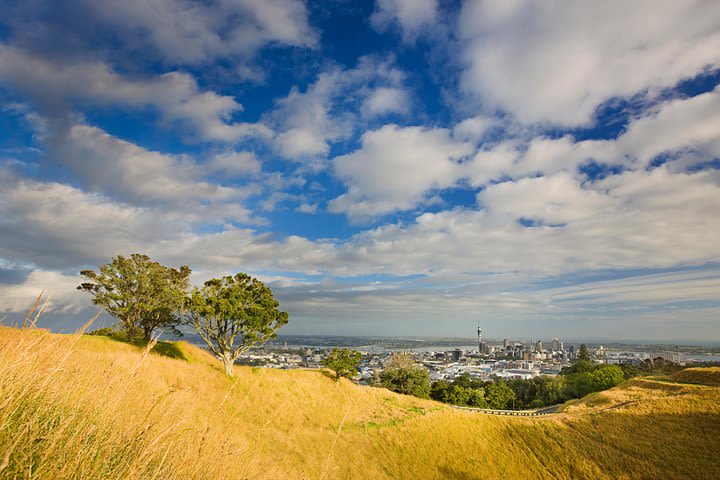 Auckland Private Tour including Airport Transfer image