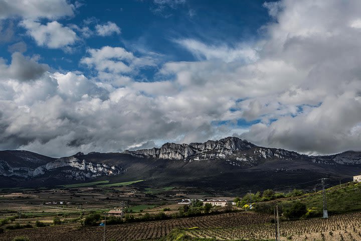 La Rioja Small Group Tour: Winery Visit, Wine Tasting and Traditional Lunch  image