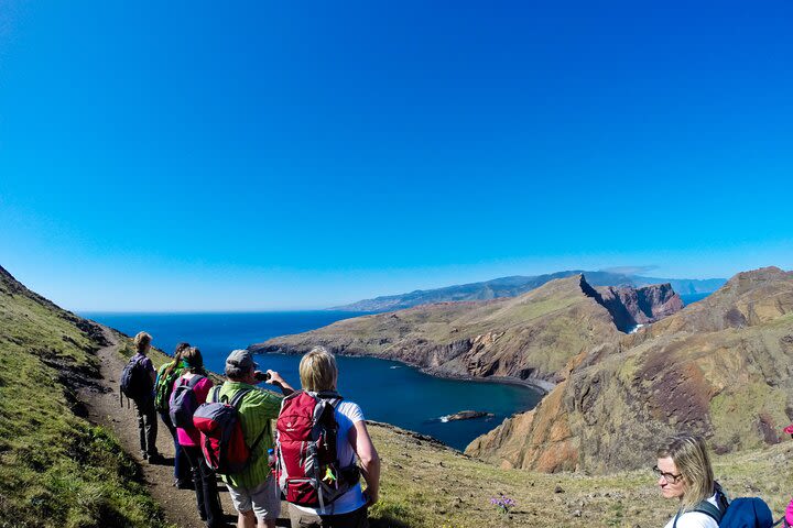 Ponta de São Lourenço Full-Day Tour image