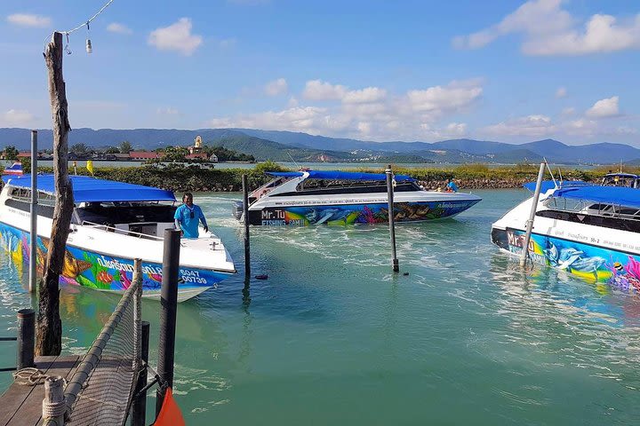 Mr. Tu Day Trip to Angthong Marine Park by Speed Boat from Koh Samui image