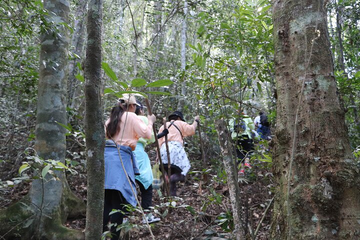 Dalat Trekking Tour - Panoramic Views image