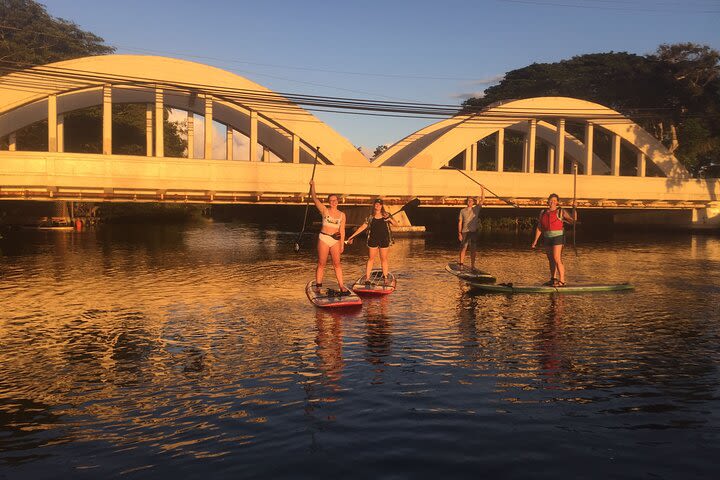 Sunset Stand Up Paddle with Photos and Turtles image