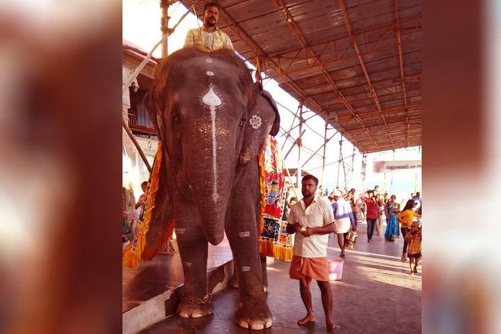 Thiruchendur Murugan Temple Half-Day Private Tour image