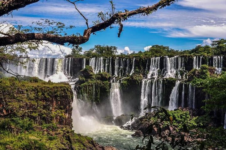 14-Day Argentina Discovery Tour of Buenos Aires, Iguazu, Calafate and Mendoza image