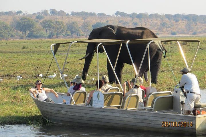 Chobe Day Trip From Victoria Falls image