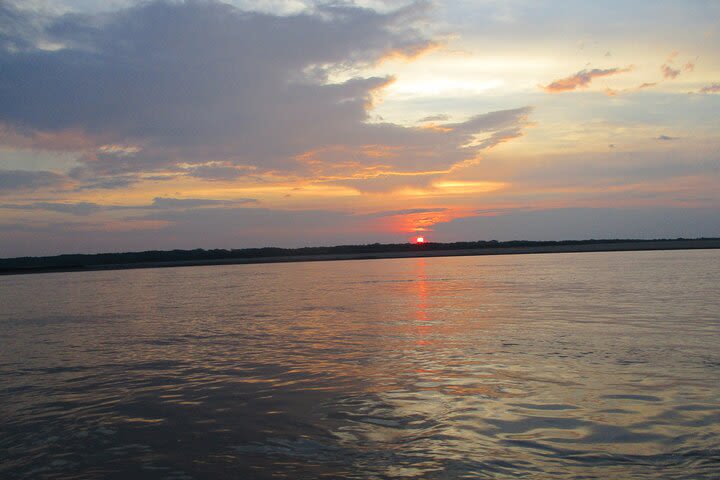 3-Days Wildlife Tour to the Tamshiyacu-Tahuayo Reserve at Curassow Amazon Lodge image