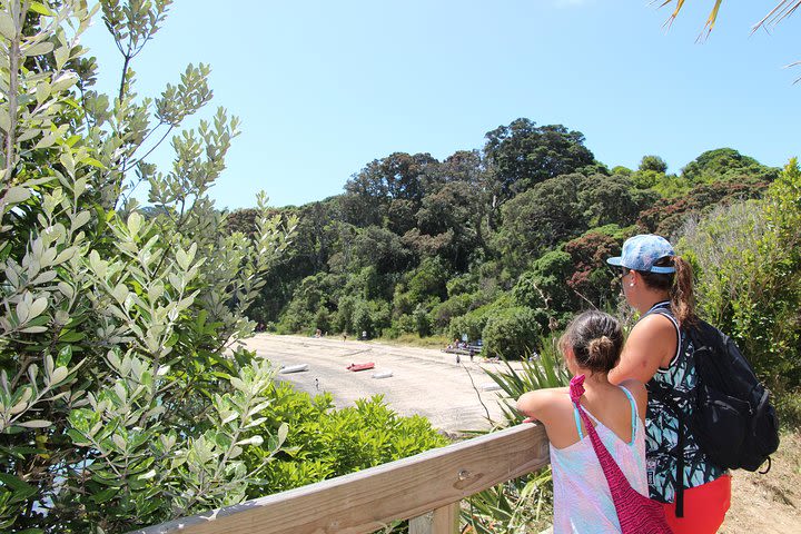 Tiritiri Matangi Island Day Trip from Auckland with Optional Guided Walk image