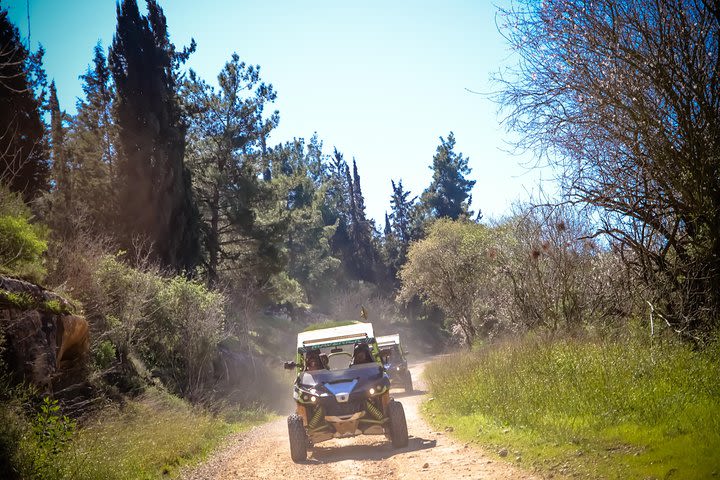 Judean Mountains 2 Hours ATV Adventure image