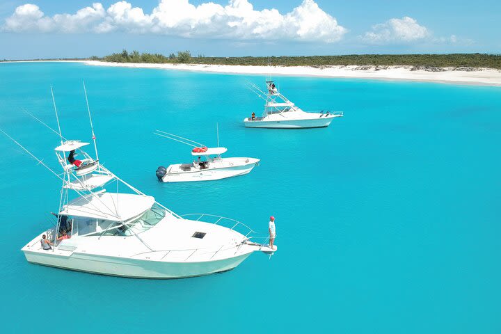 Deep Sea Fishing Adventure Experience Turks and Caicos Islands image