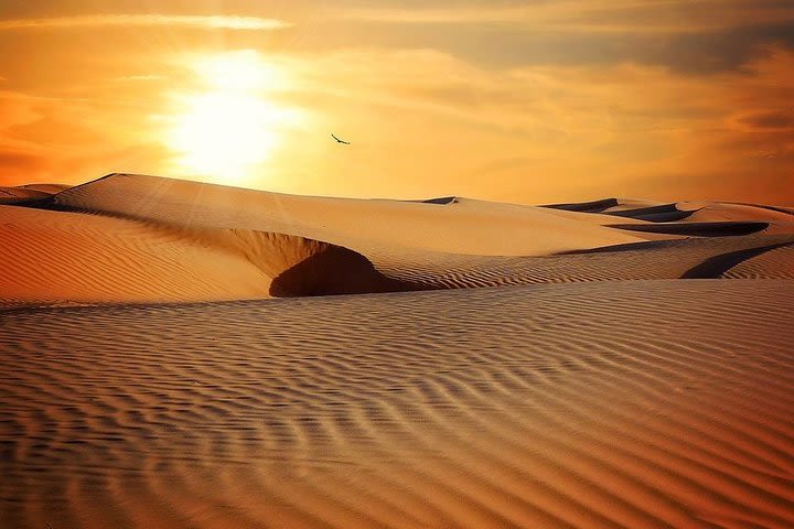 Private Dubai Sunrise with Red Dune Bashing + Sand Boarding + Camel Ride  image