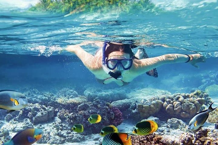 Full Day ( GIFTUN ISLAND ) Snorkeling Sea Tour - Hurghada image