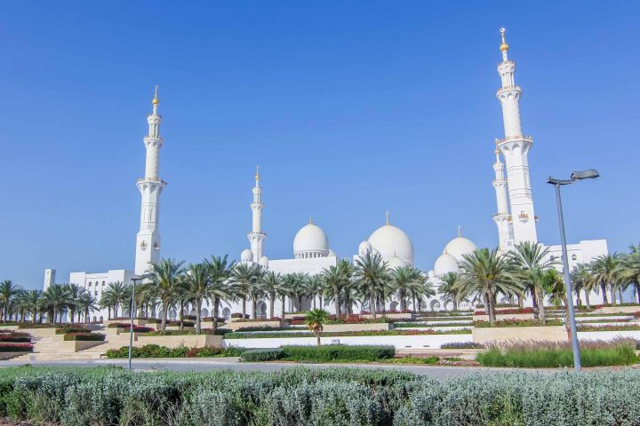 Abu Dhabi City Highlights Tour image