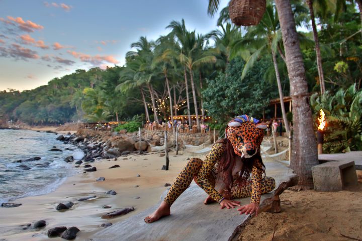 ALMA, Rhythms of the Night - VIP image