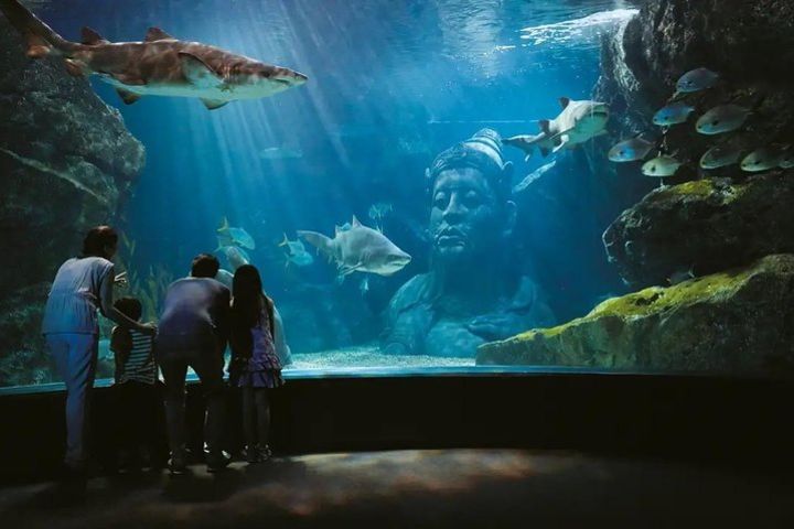 SEA LIFE Bangkok Ocean World Ticket image