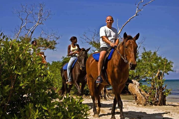 Horseback Ride and Swim Private Tour from Montego Bay image