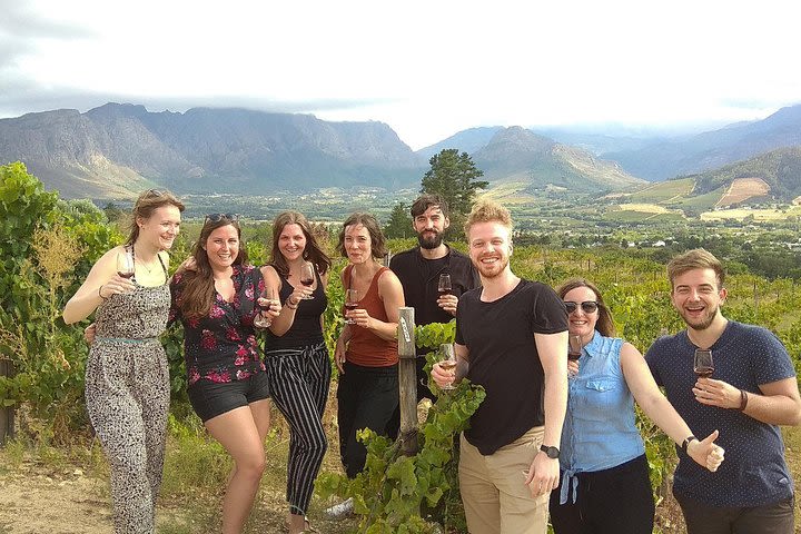 Half day wine tour to Stellenbosch & Franschhoek | Includes tastings image