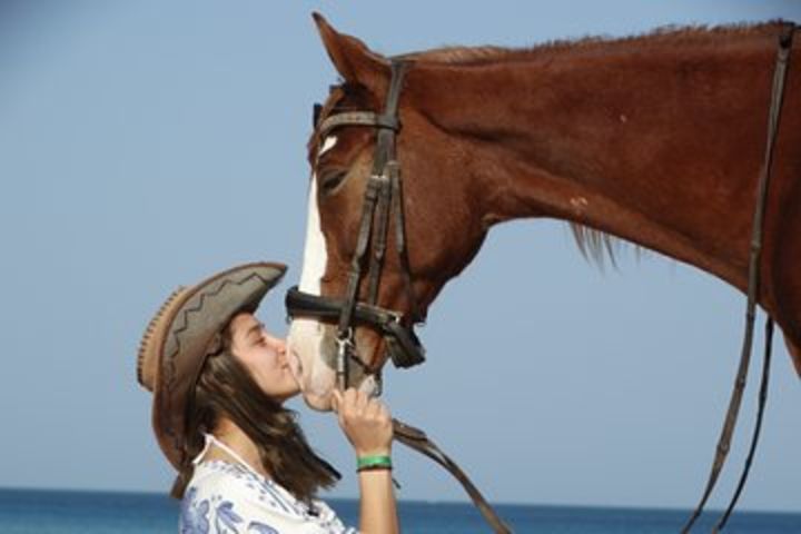 Excursions 2 hours horse and camel riding - Hurghada image