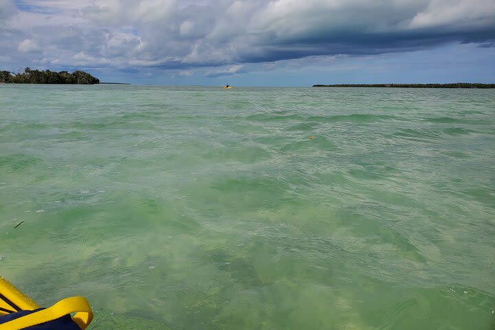 Full-Day Hiking and Paddling Tour in Everglades National Park image