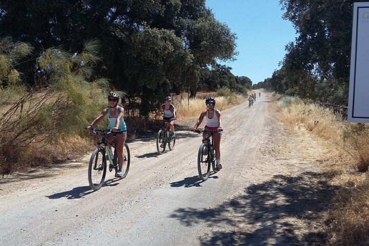 MTB - Ronda to Setenil de las Bodegas - 31km - Easy or Moderate Level image