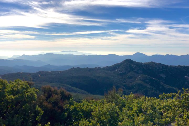 San Diego 4x4: Mountain Forest image