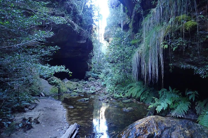 Juggler Canyon and Abseiling Adventure Blue Mountains image