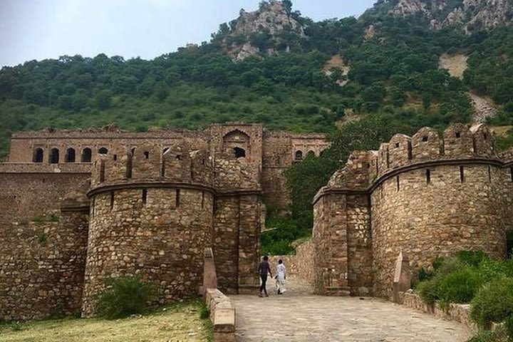 Excursion To Sariska National Park - Bhangarh Fort - Stepwell with Guided Trip image