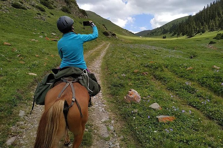 3 days with local shepherd family image