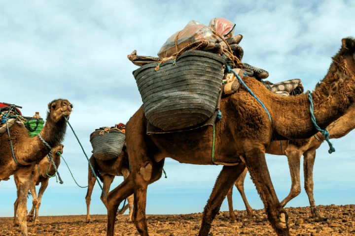 Marrakech to Merzouga Desert: 4-Day Trip. image