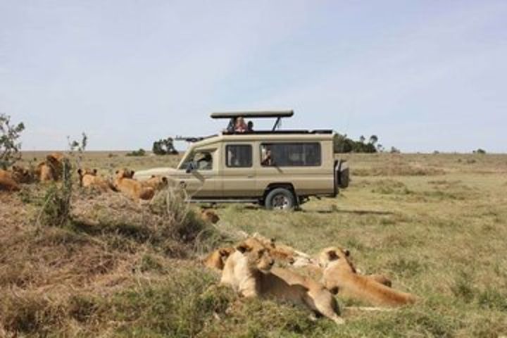 Lake Manyara, Serengeti and Ngorongoro Crater 4-Day Safari Tour image