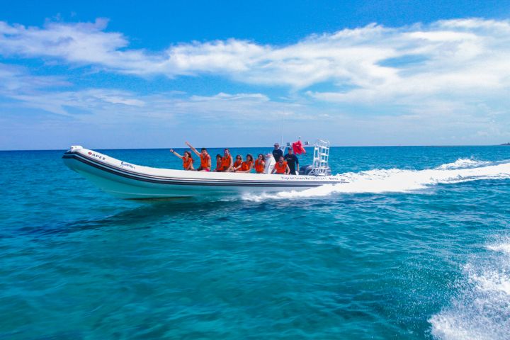 Cozumel Snorkeling Tour image