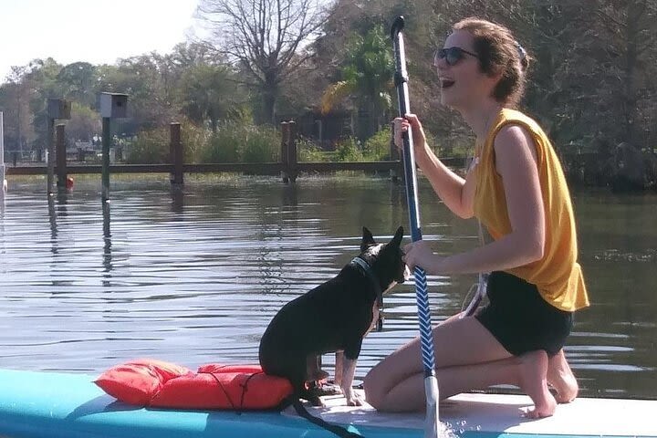 Paddle with Pups in Paradise - Paddleboard or Kayak image