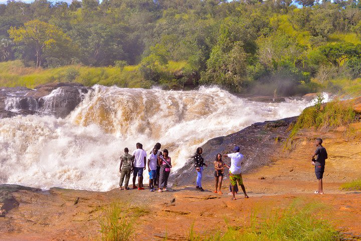 6-Day Murchisionfalls and Kidepo National park Wildlife Safaris image