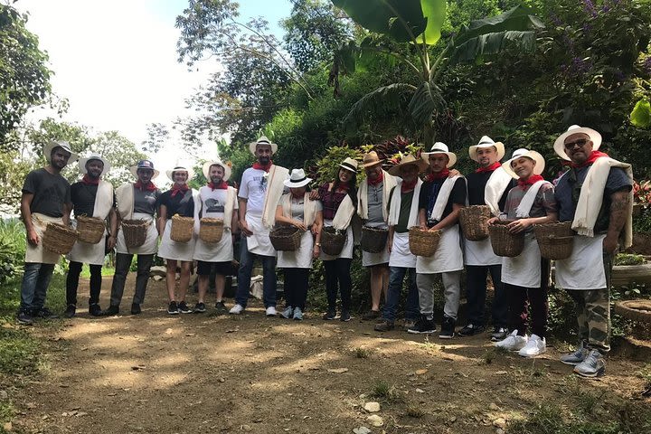 Coffee Tour - All inclusive - Medellín image