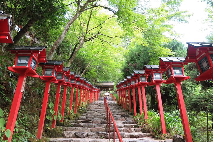 Enjoy Hiking! Tour in Kurama & Kibune area with local guide image