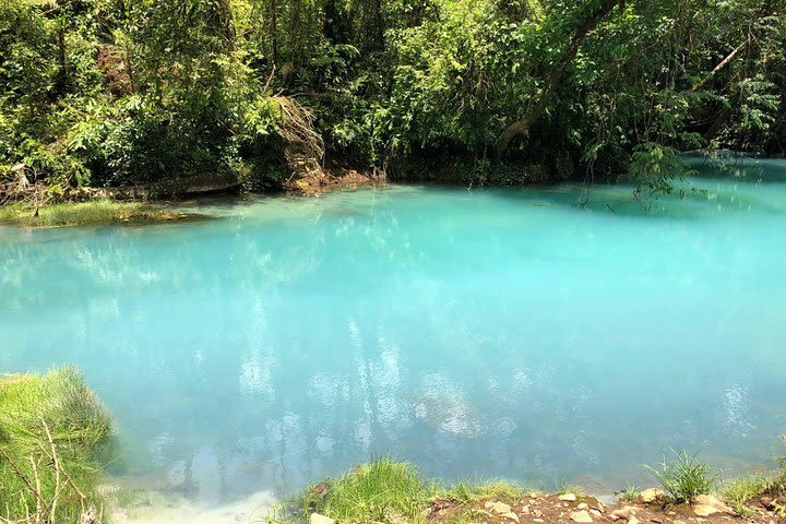 1 Day Trip getting off the beaten path to Rio Celeste and Tenorio National Park image