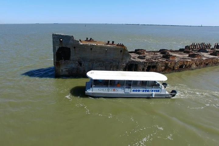 Dolphin Sightseeing Tour in Galveston with a Guide image