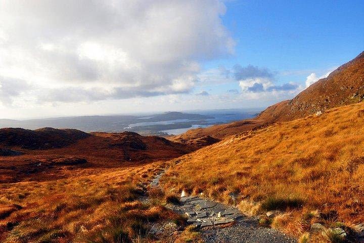 Lunch at the Connemara National Park Tea Rooms. Letterfrack, Galway  image